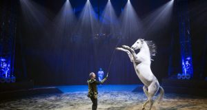 Idéesortiedans toute la France: Cirque Gruss